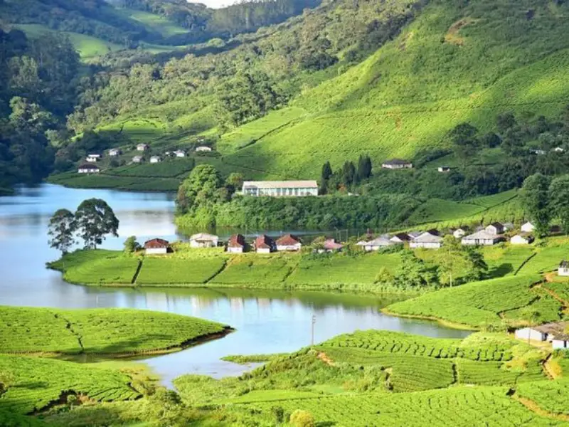 munnar Family Vacation Places in India